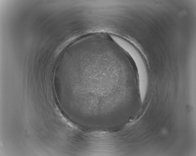 X0000078890577200612042052