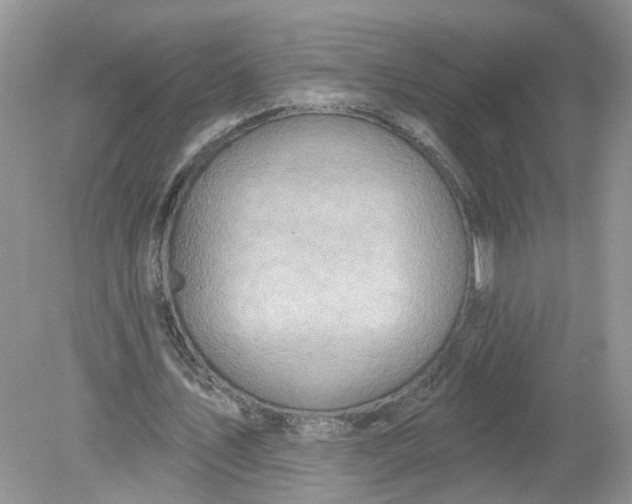 X0000078890579200612042052