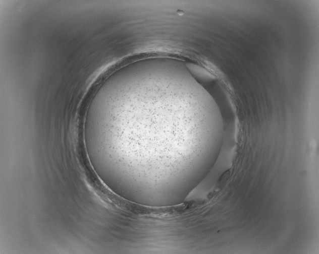 X0000078890580200612042052