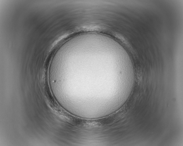 X0000078890583200612042052