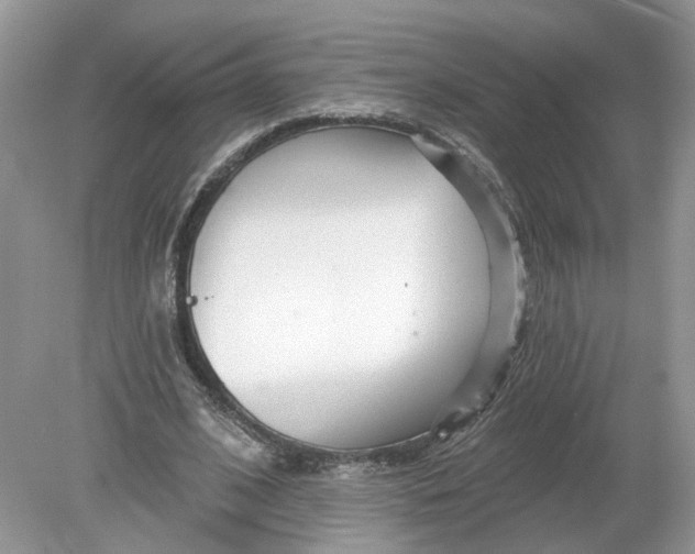 X0000078890584200612042052