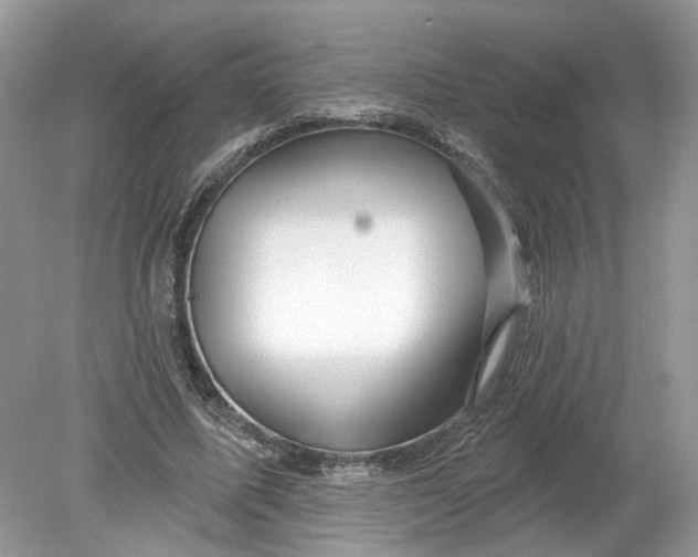 X0000078890587200612042052