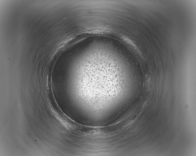 X0000078890589200612042052