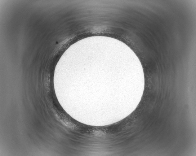 X0000078890592200612042052