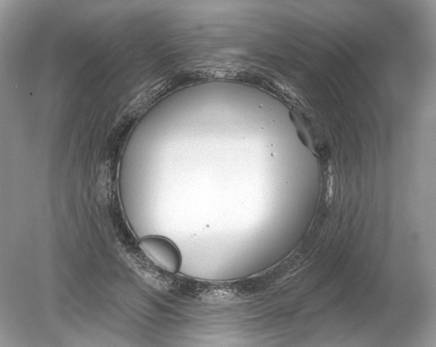 X0000078890594200612042052