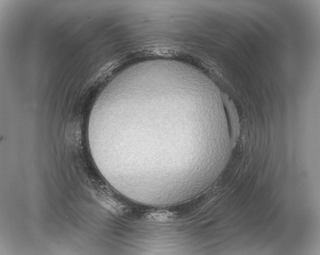 X0000078890595200612042052