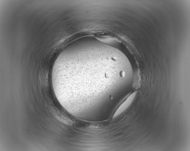 X0000078890596200612042052