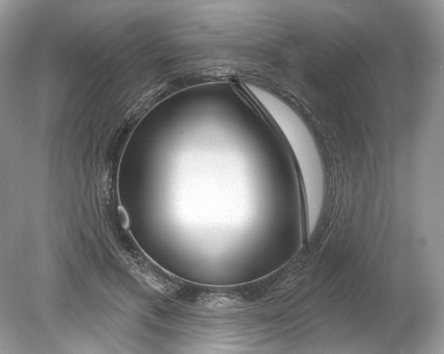 X0000078890597200612042052