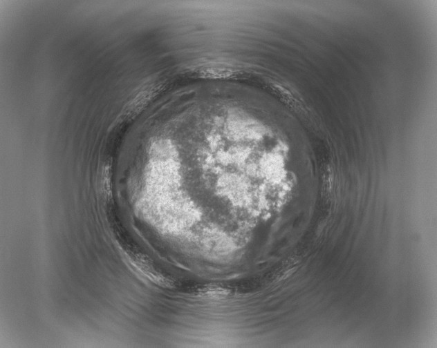 X0000078890598200612042052