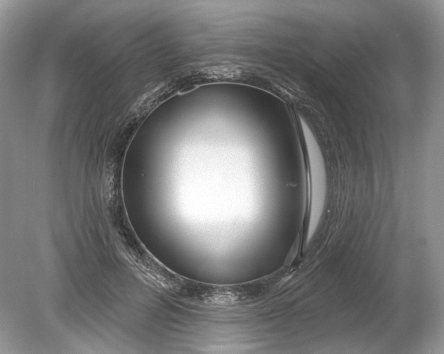 X0000078890600200612042052