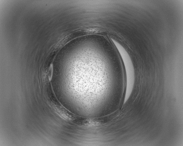 X0000078890601200612042052