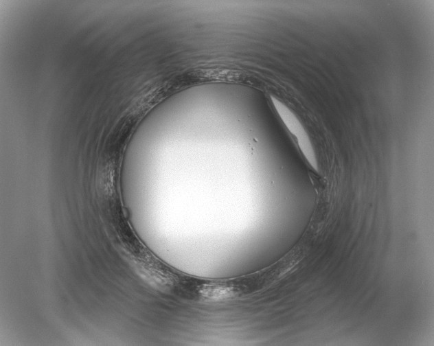 X0000078890602200612042052