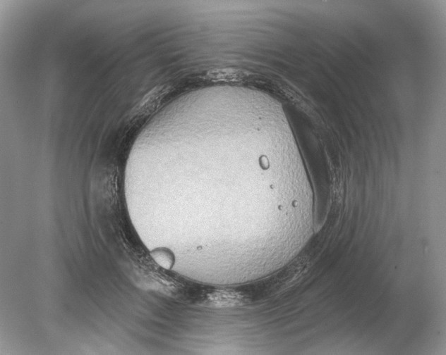 X0000078890603200612042052