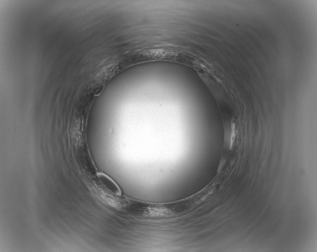 X0000078890605200612042052