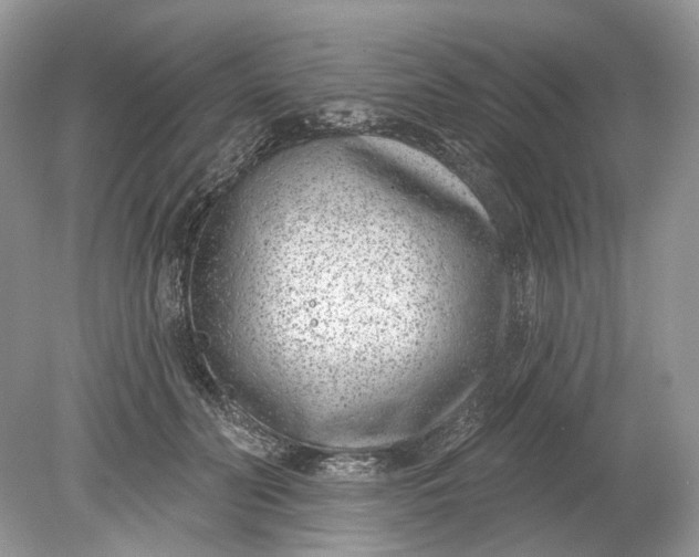 X0000078890606200612042052