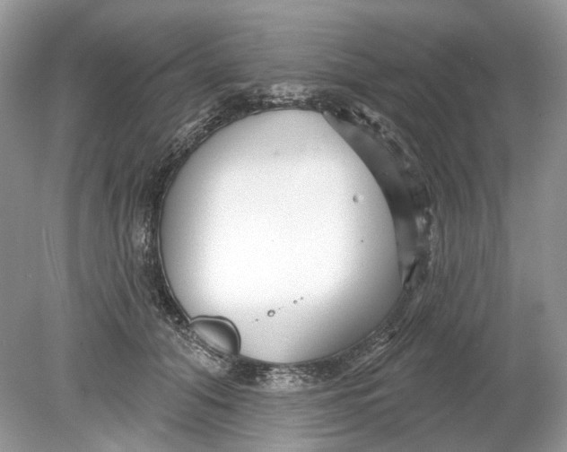 X0000078890608200612042052