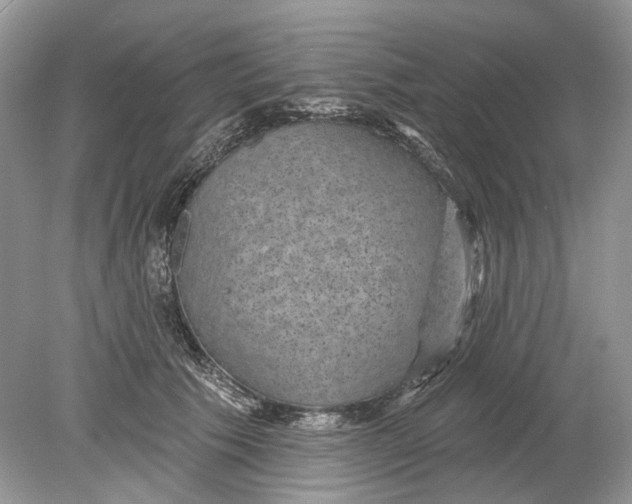 X0000078890609200612042052