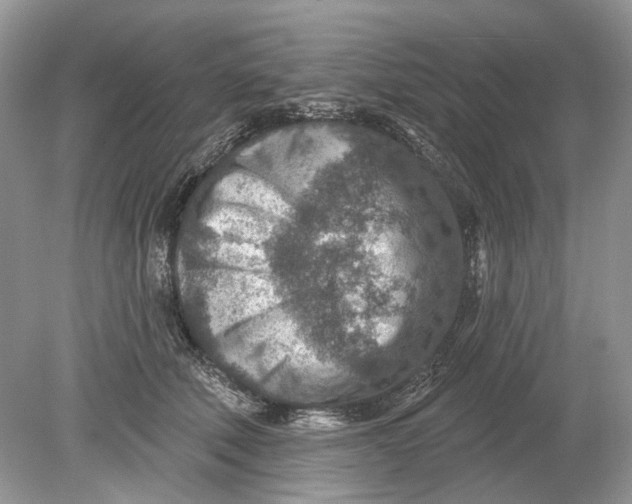 X0000078890610200612042052