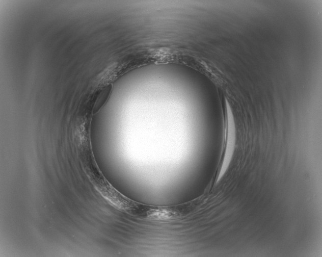 X0000078890611200612042052