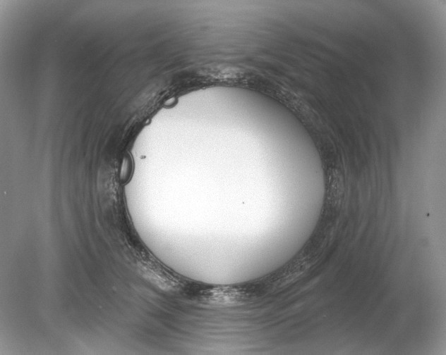 X0000078890612200612042052