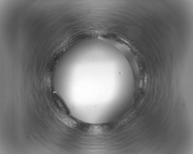 X0000078890613200612042052