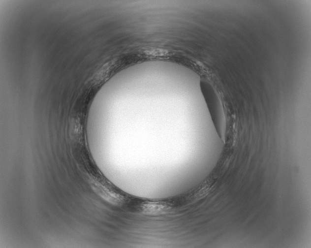 X0000078890614200612042052