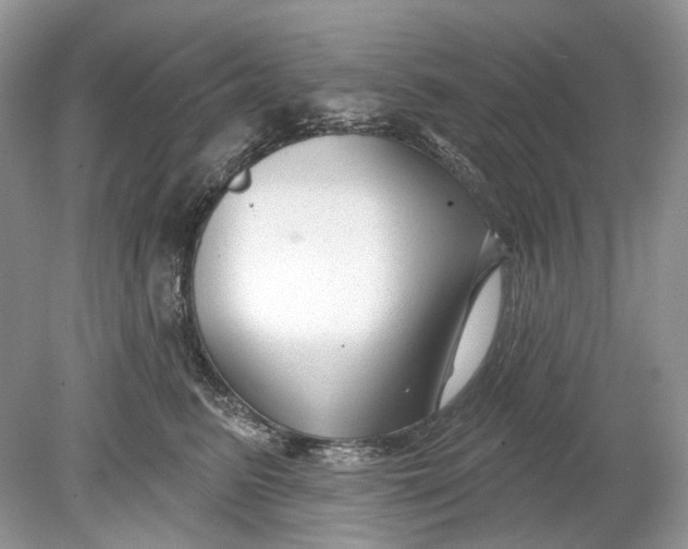 X0000078890615200612042052