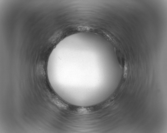 X0000078890616200612042052