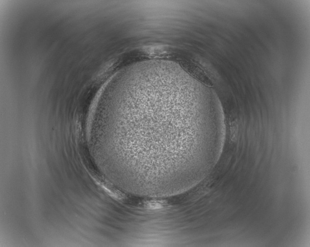 X0000078890618200612042052