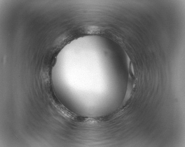 X0000078890620200612042052