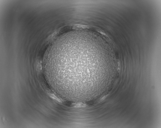 X0000078890621200612042052