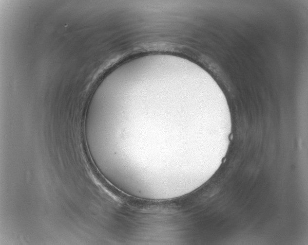 X0000078890625200612042051