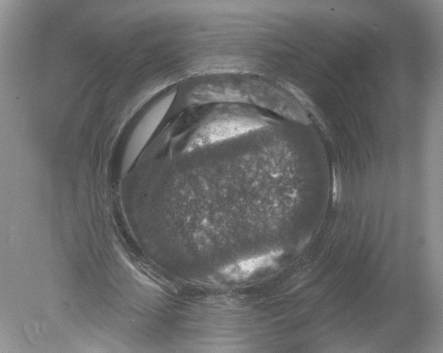 X0000078890627200612042051