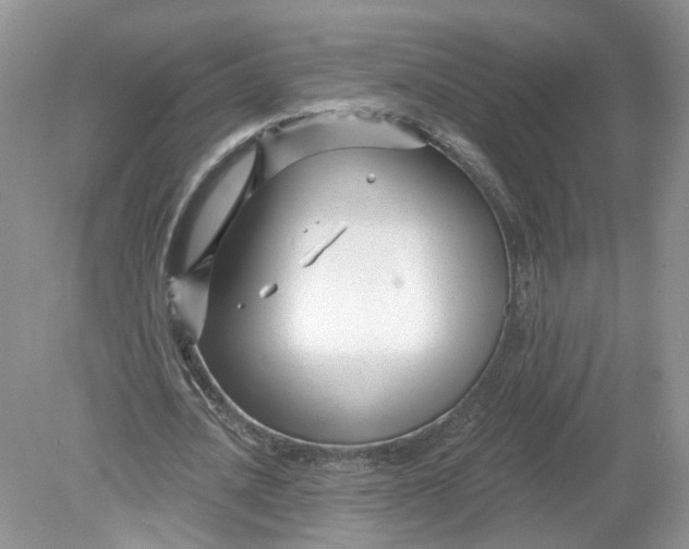 X0000078890628200612042051