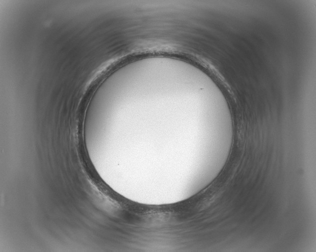 X0000078890629200612042051