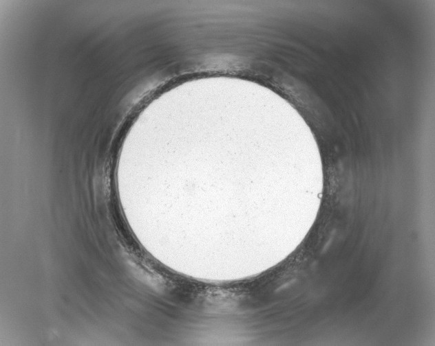 X0000078890632200612042051