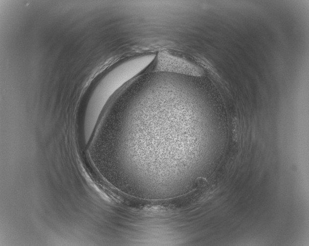 X0000078890634200612042051