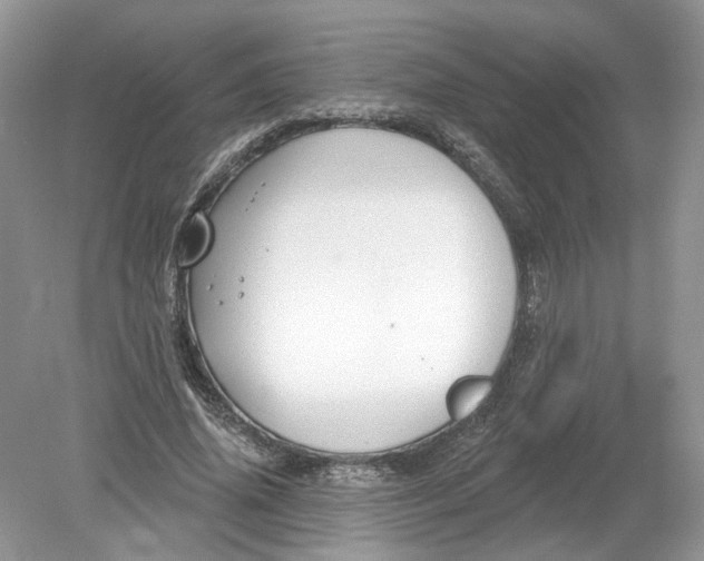 X0000078890636200612042051