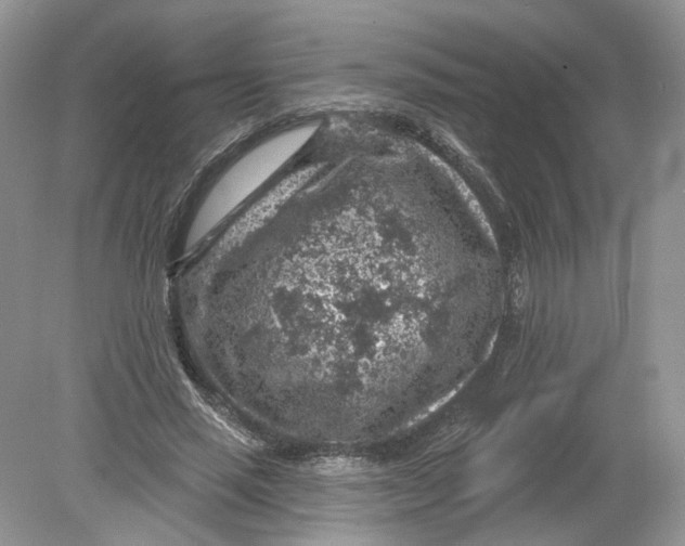 X0000078890637200612042051