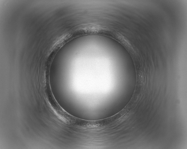 X0000078890638200612042051