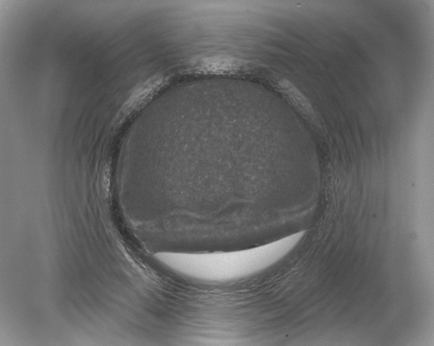 X0000078890640200612042051