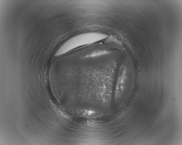 X0000078890641200612042051