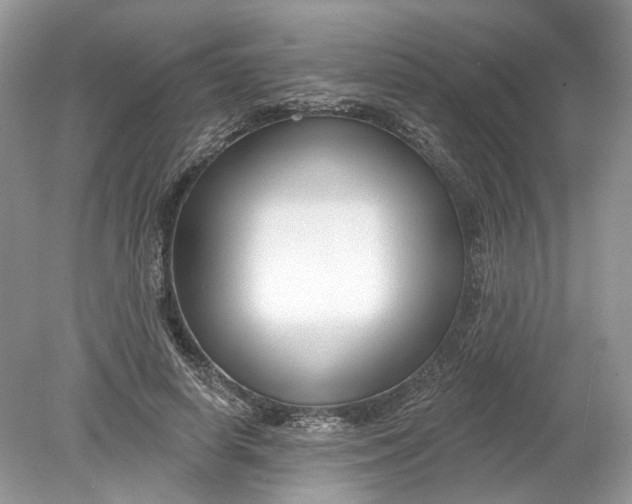 X0000078890642200612042051