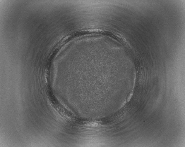 X0000078890643200612042051