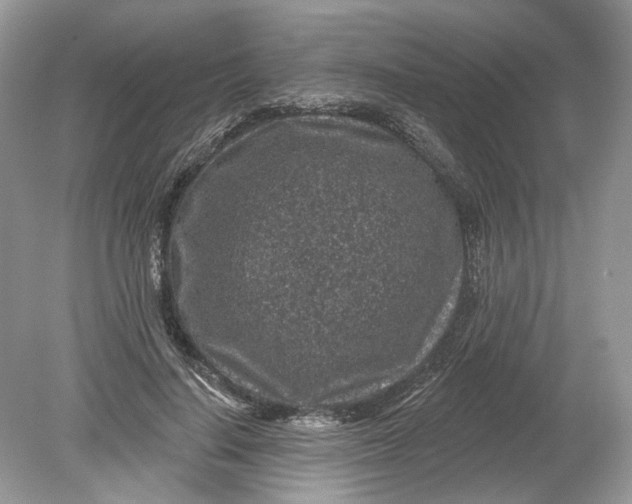 X0000078890644200612042051