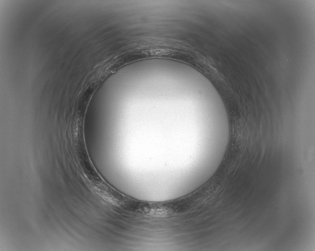 X0000078890645200612042051