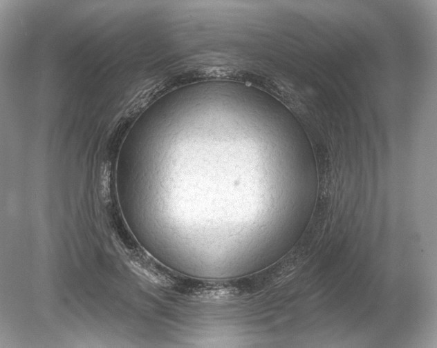 X0000078890646200612042051