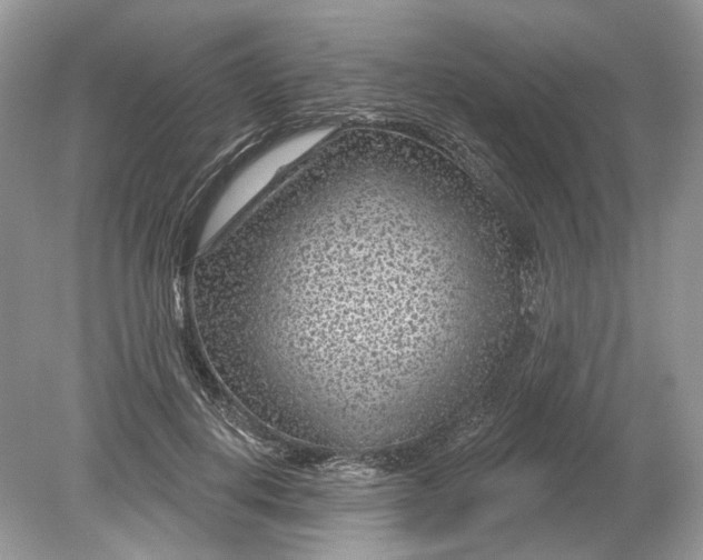 X0000078890648200612042051