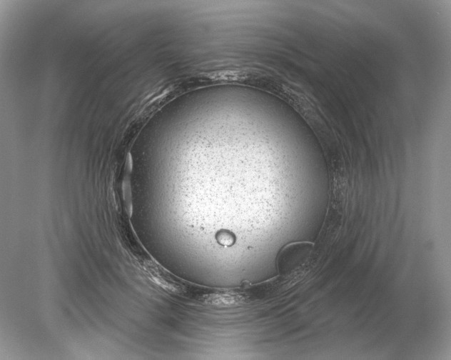 X0000078890652200612042051