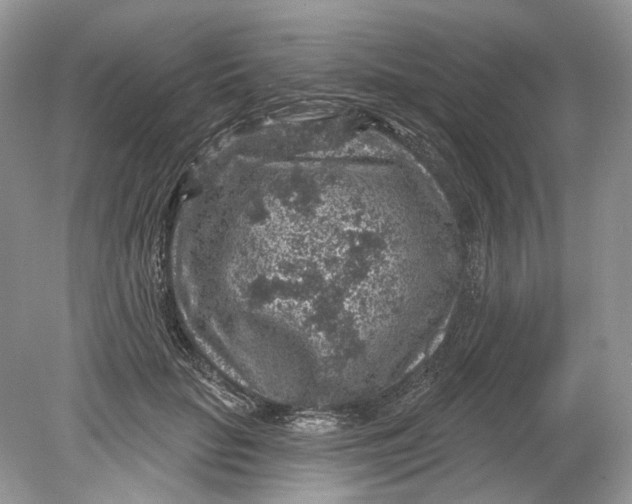 X0000078890653200612042051